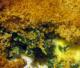 Breakfast Spinach Casserole Ideas